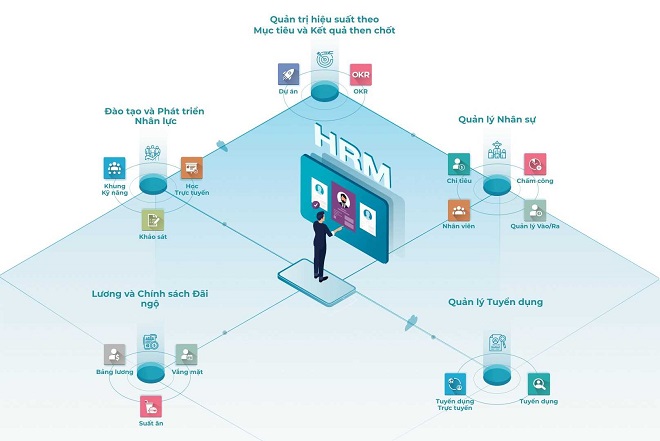 Viindoo HRM kết nối tất cả các nghiệp vụ quản trị nhân sự.