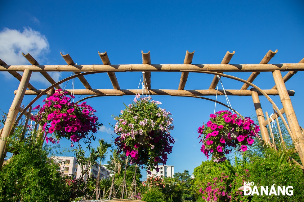 The 'Flower garden in the city' model featuring many colorful flowers is deployed at the land lots Nos 62 - 64 on Ha Tong Quyen Street in Cam Le District.