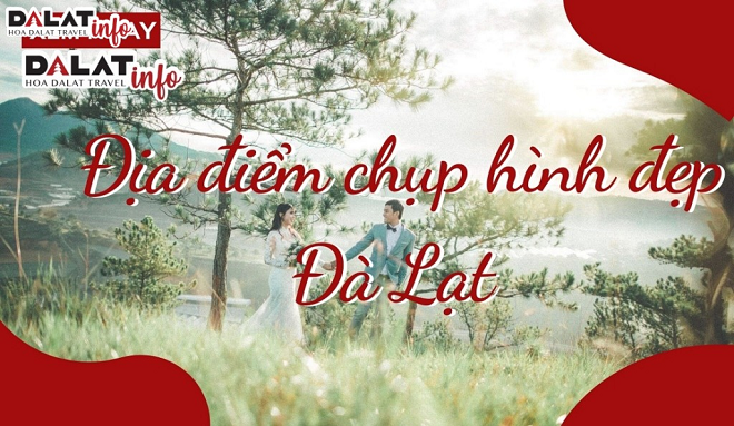 Nâng cao trải nghiệm du lịch Đà Lạt cùng Dalat-Info Việt Nam