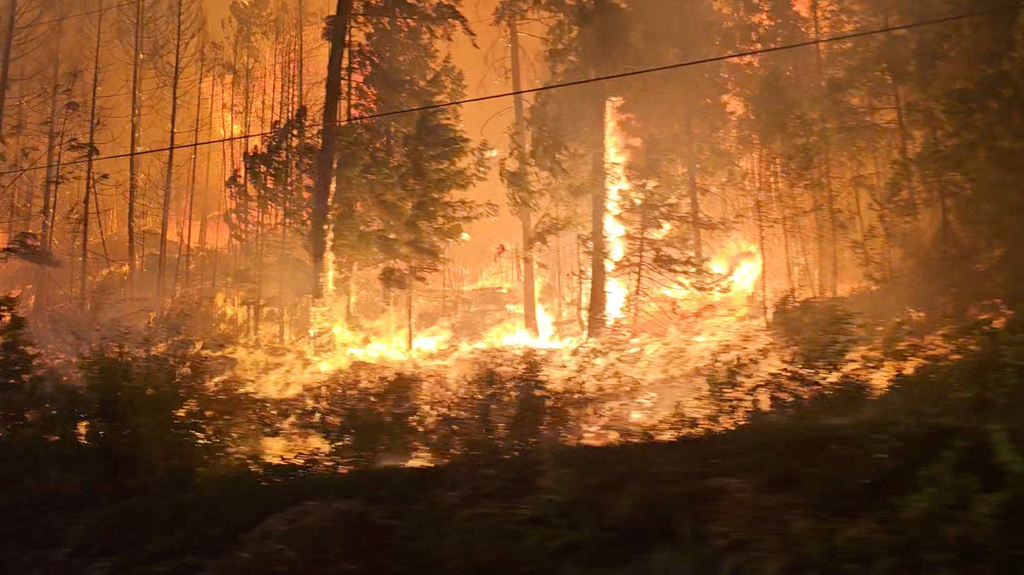Cháy rừng nghiêm trọng tại nhiều quốc gia