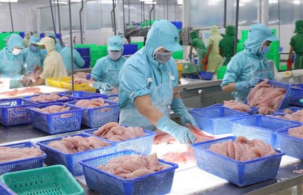 EVFTA offers a significant advantage for Vietnam's farm produce in entering the EU. (Photo: VNA)