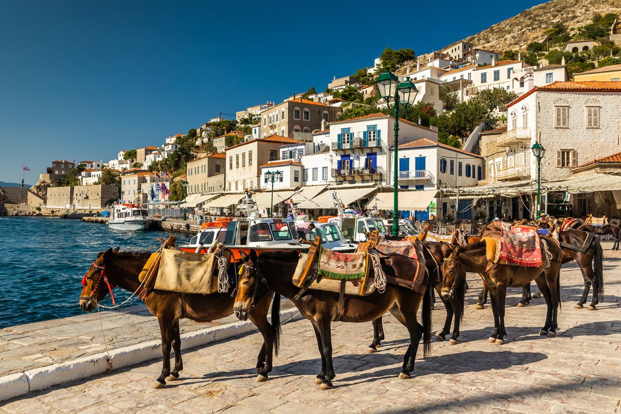 Ngựa là phương tiện đi lại trên đảo Hydra. Ảnh: Getty Images