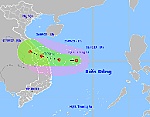 Áp thấp nhiệt đới di chuyển nhanh, Đà Nẵng chủ động ứng phó mưa lớn, gió mạnh