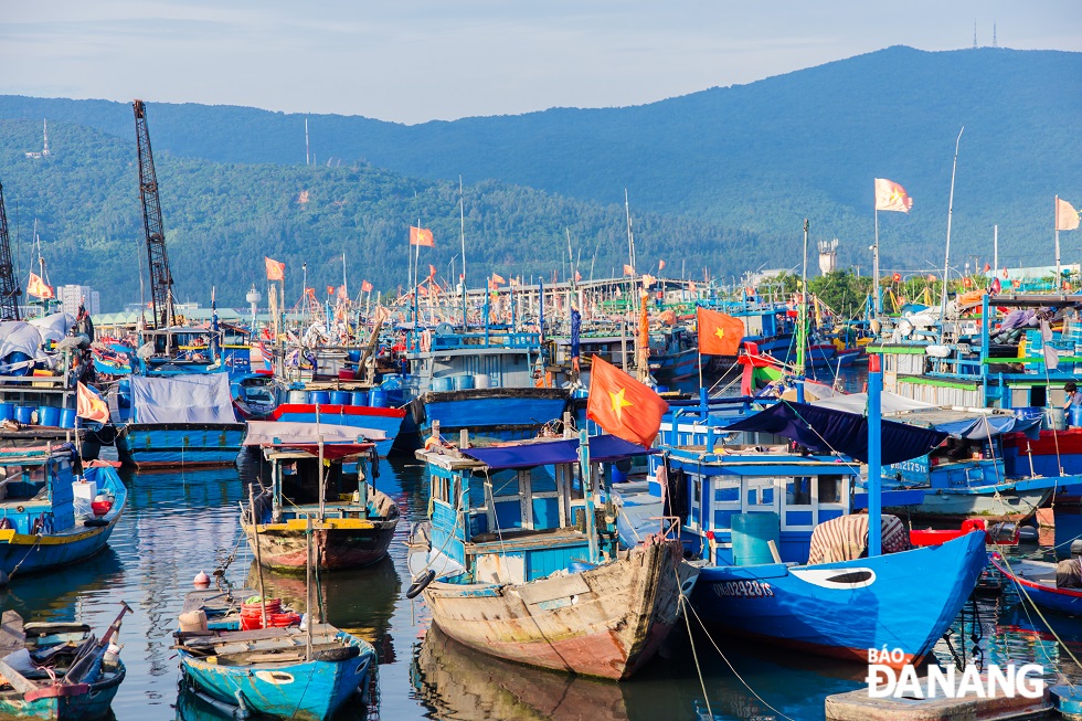 Fishing boats in Son Tra District are decorated by fishermen with the national flags.