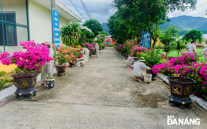 Học viên đang thực hiến quá trình cai nghiện chăm sóc cây cảnh trong khuôn viên trại.