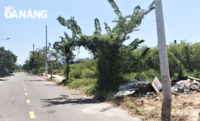 Dọc vỉa hè tuyến đường Thanh Lương 14 (đối diện với nhà ở riêng lẻ của các hộ dân đã xây dựng, thuộc đất quy hoạch trường học, công viên) có 6 trụ điện mới được dựng lên, trong đó có 2 trụ đôi và 4 trụ đơn. Ảnh: ĐẮC MẠNH	