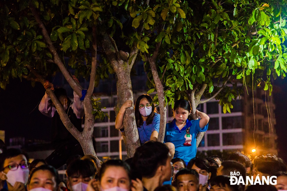 Many people climb high trees to get the clearest view of the lion dance performances at the festival.