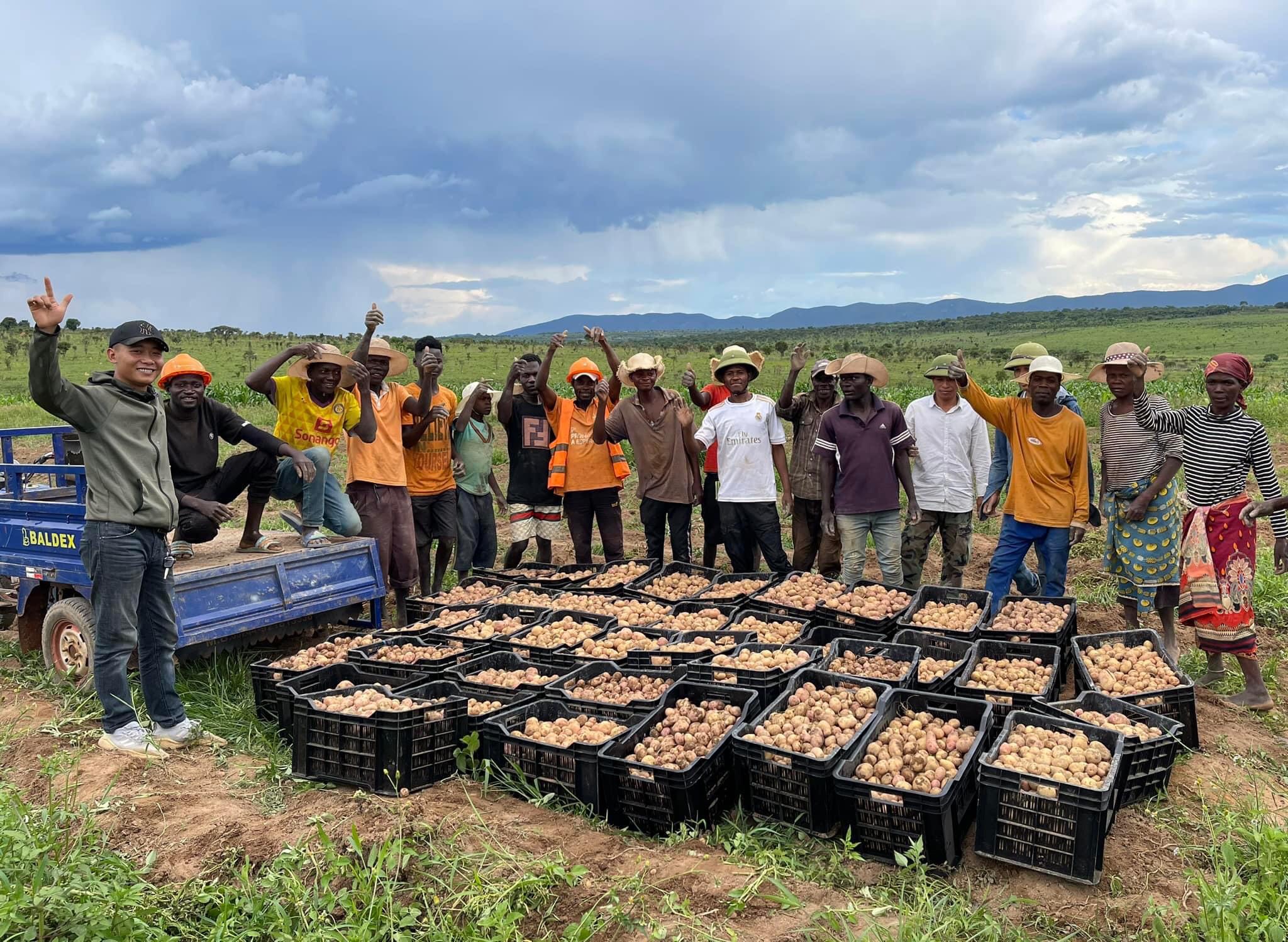 Quang Linh (first, left) guides African people to grow and harvest crops. 