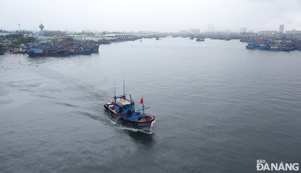 Âu thuyền Thọ Quang đang chuẩn bị đón nhiều tàu, thuyền vào tránh, trú gió mạnh. Ảnh: HOÀNG HIỆP