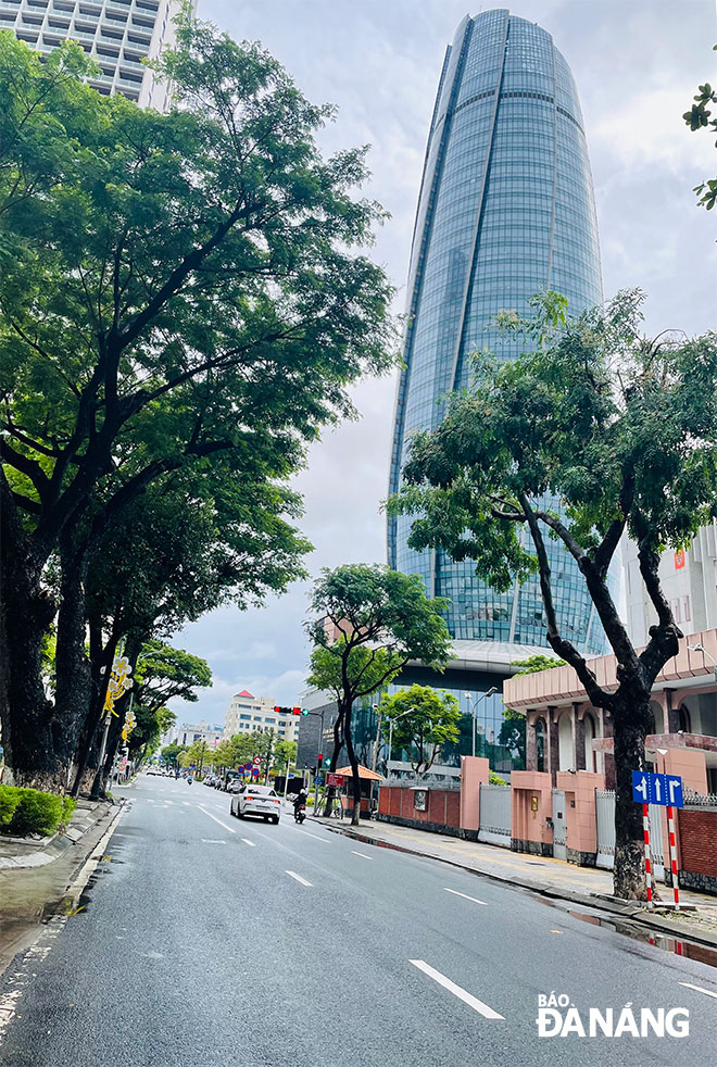 Hàng cây xanh cổ thụ rợp bóng mát trên tuyến đường Trần Phú Ảnh: H.V