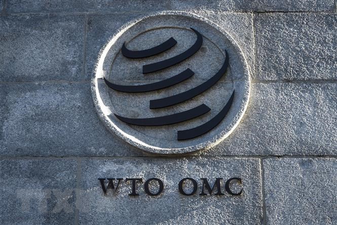 Khủng hoảng tại WTO cảnh báo phân mảnh kinh tế toàn cầu