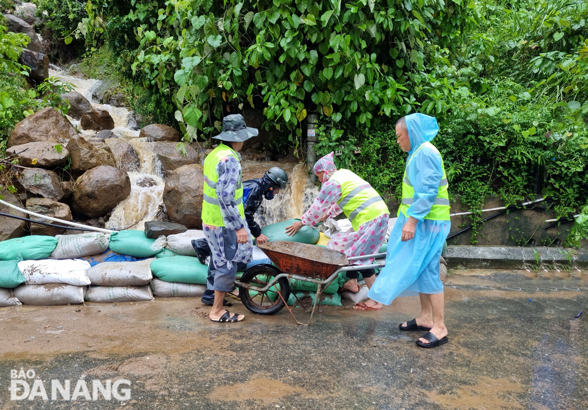 Cấm lưu thông các đường lên bán đảo Sơn Trà