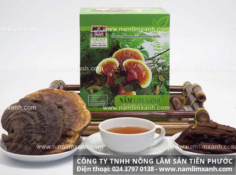 Nấm lim xanh chữa bệnh ung thư từ khoa học và cách dùng nấm lim xanh tốt