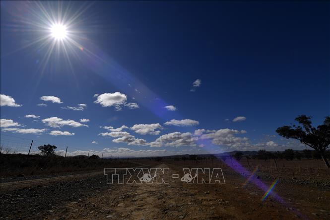 Nắng nóng gay gắt tại bang New South Wales, Australia. Ảnh: AFP/TTXVN