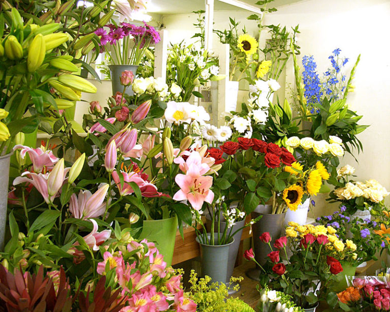  A huge selection of beautiful flowers for Vietnamese Women’s Day is offering