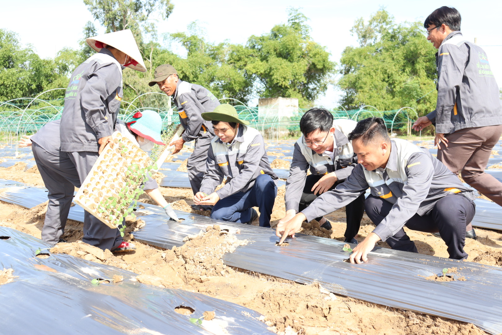 Xây dựng vùng sản xuất chuyên canh cây bí Oa-Qua