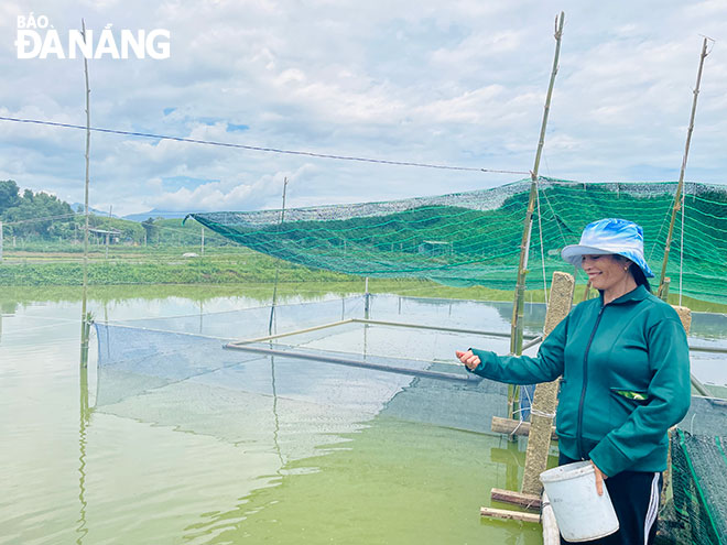 Nhờ mô hình nuôi cá nước ngọt, chị Phạm Thị Nhung đã thay đổi kinh tế gia đình, vươn lên thoát nghèo hơn 20 năm qua. Ảnh: H.T.V