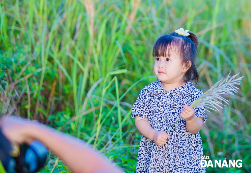 Many children take photos with white reeds on this occasion.