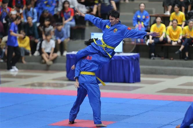 Tiết mục biểu diễn Vovinam - Việt Võ Đạo. (Ảnh: TTXVN phát)