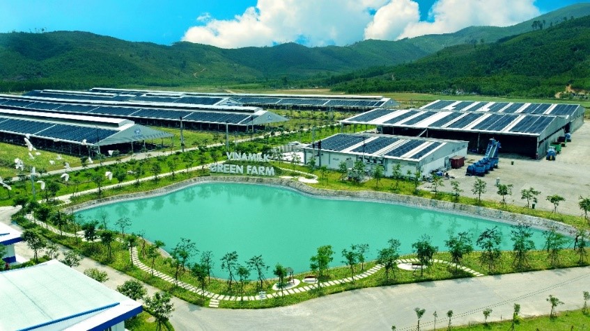 Các trang trại sinh thái Green Farm được Vinamilk đầu tư mạnh trong những năm gần đây. Ảnh: Công ty VNM cung cấp