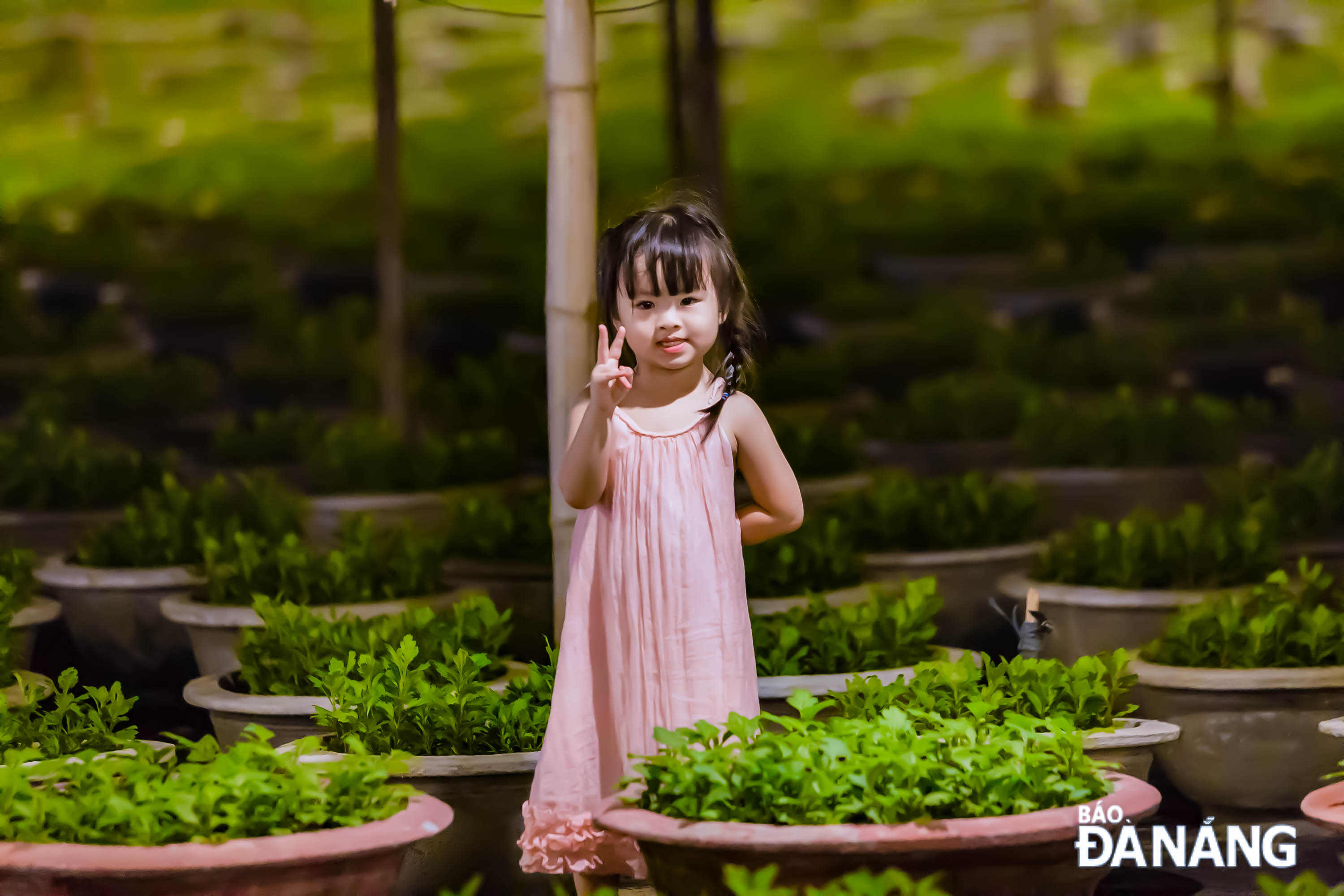 Smiling baby girl is in a Tet flower garden 