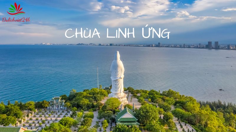 Đa dạng các loại vé.