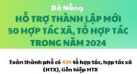 Infographic - Đà Nẵng hỗ trợ thành lập mới 50 hợp tác xã, tổ hợp tác trong năm 2024