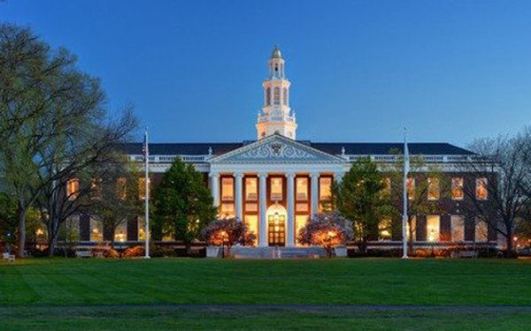 Cú đảo chiều ở Đại học Harvard