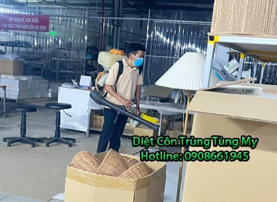 Tùng My chuyên cung cấp dịch vụ diệt côn trùng với mức giá hợp lý