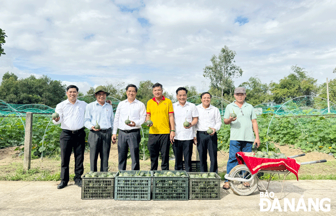 Lãnh đạo và nông dân xã Hòa Khương (huyện Hòa Vang) phấn khởi trước những sọt bí oa-qua đầu tiên được thu hoạch trên đất nông nghiệp bị bỏ hoang vừa được khôi phục sản xuất. Ảnh: H.HIỆP