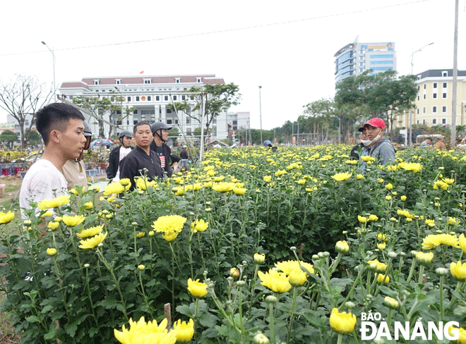 Người dân mua hoa tại chợ hoa Tết Quý Mão 2023. Ảnh: HOÀNG HIỆP