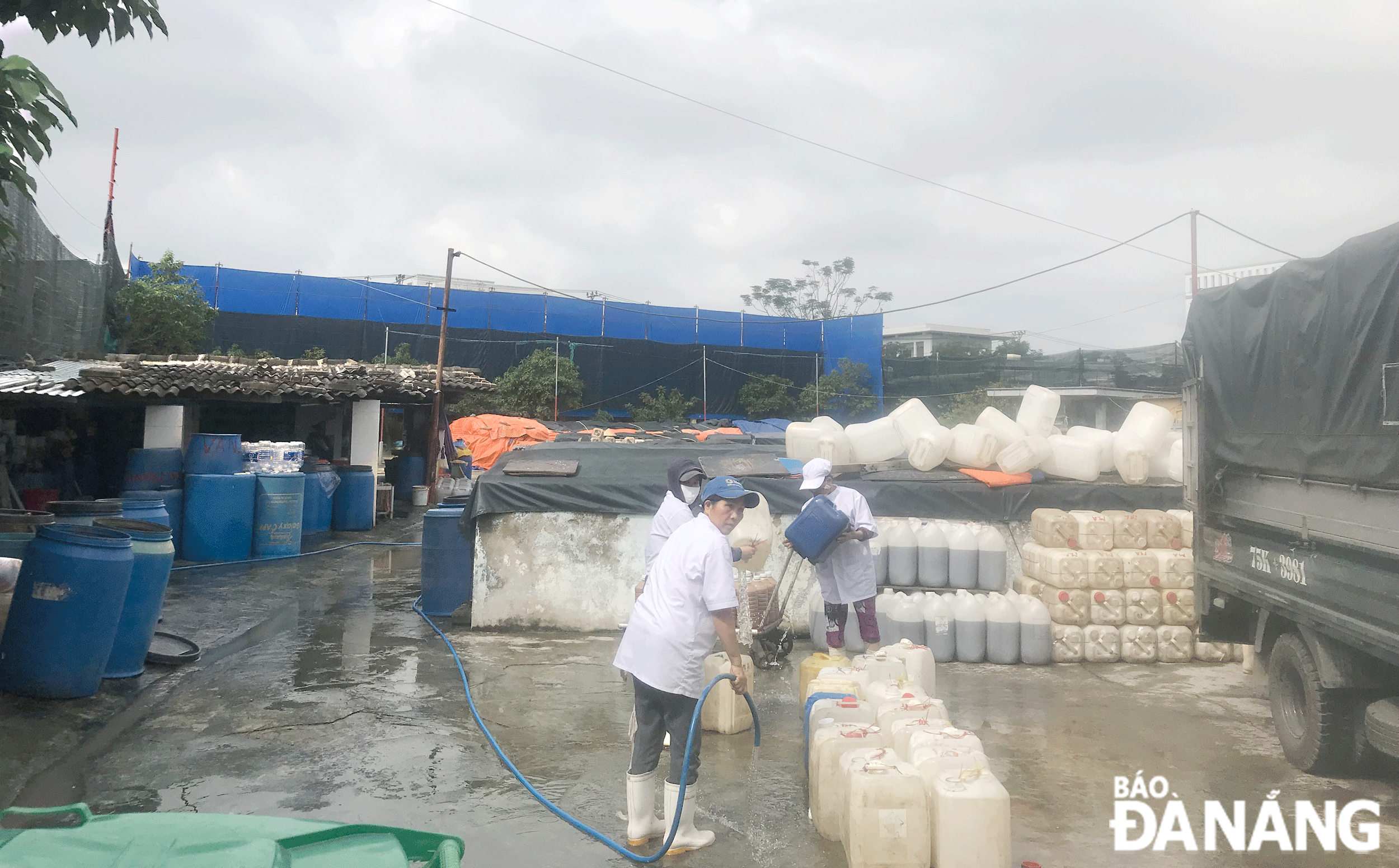 Cơ sở sản xuất nước mắm Văn Tranh tại đường Chính Hữu (phường An Hải Bắc) phát tán mùi hôi trong khu dân cư. Ảnh: KHÁNH HUYỀN