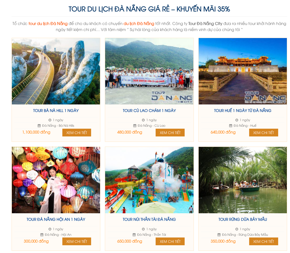 Đa dạng các dịch vụ tour du lịch tại Đà Nẵng có khách hàng lựa chọn.