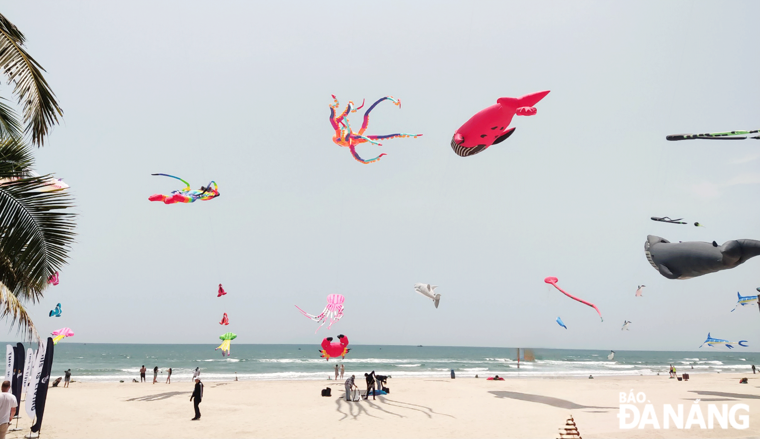 Every year, Da Nang organises many festivals and events to attract visitors. Here is a scene of the Kite Art Festival 2023 at Da Nang Beach. Photo: THU HA