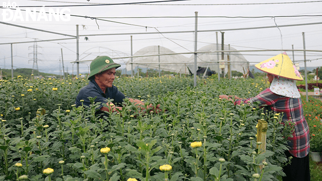 Vợ chồng ông Trần Văn Tâm 