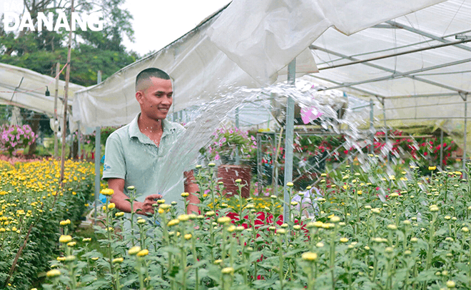 Nghề trồng hoa cũng đã giải quyết việc làm cho nhiều lao động trẻ tại địa phương.