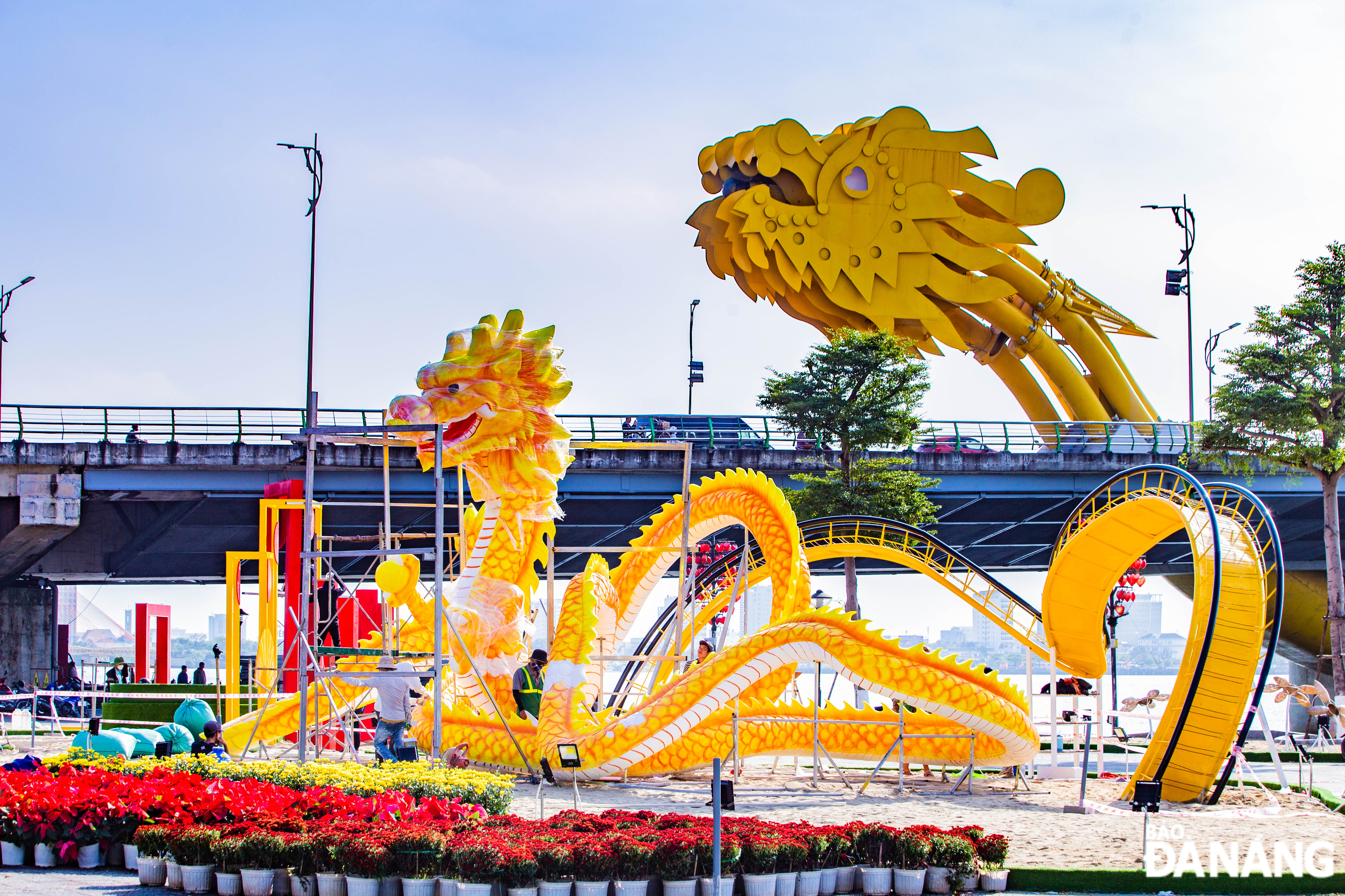Linh vật rồng Đà Nẵng 2024 có hình hài đang uốn lượn trông rất uy nghi đã dần được lộ diện tại đường Trần Hưng Đạo.