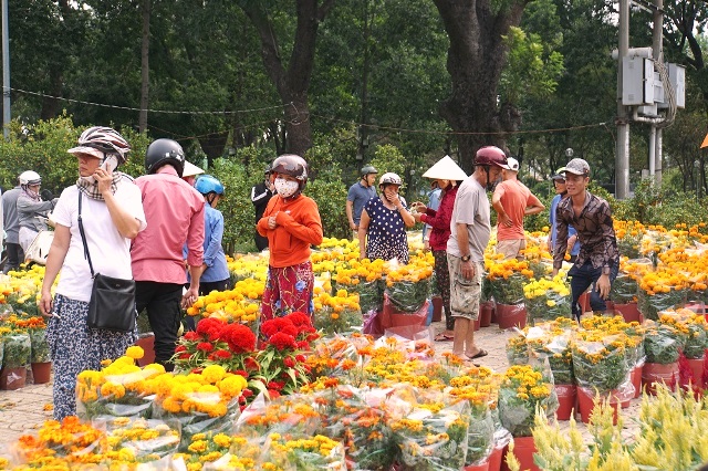 Hoa Tết và câu chuyện thị trường