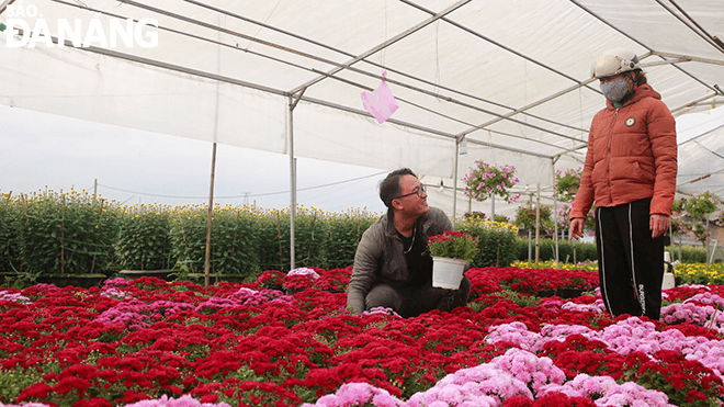 People come to buy flowers directly at the gardens