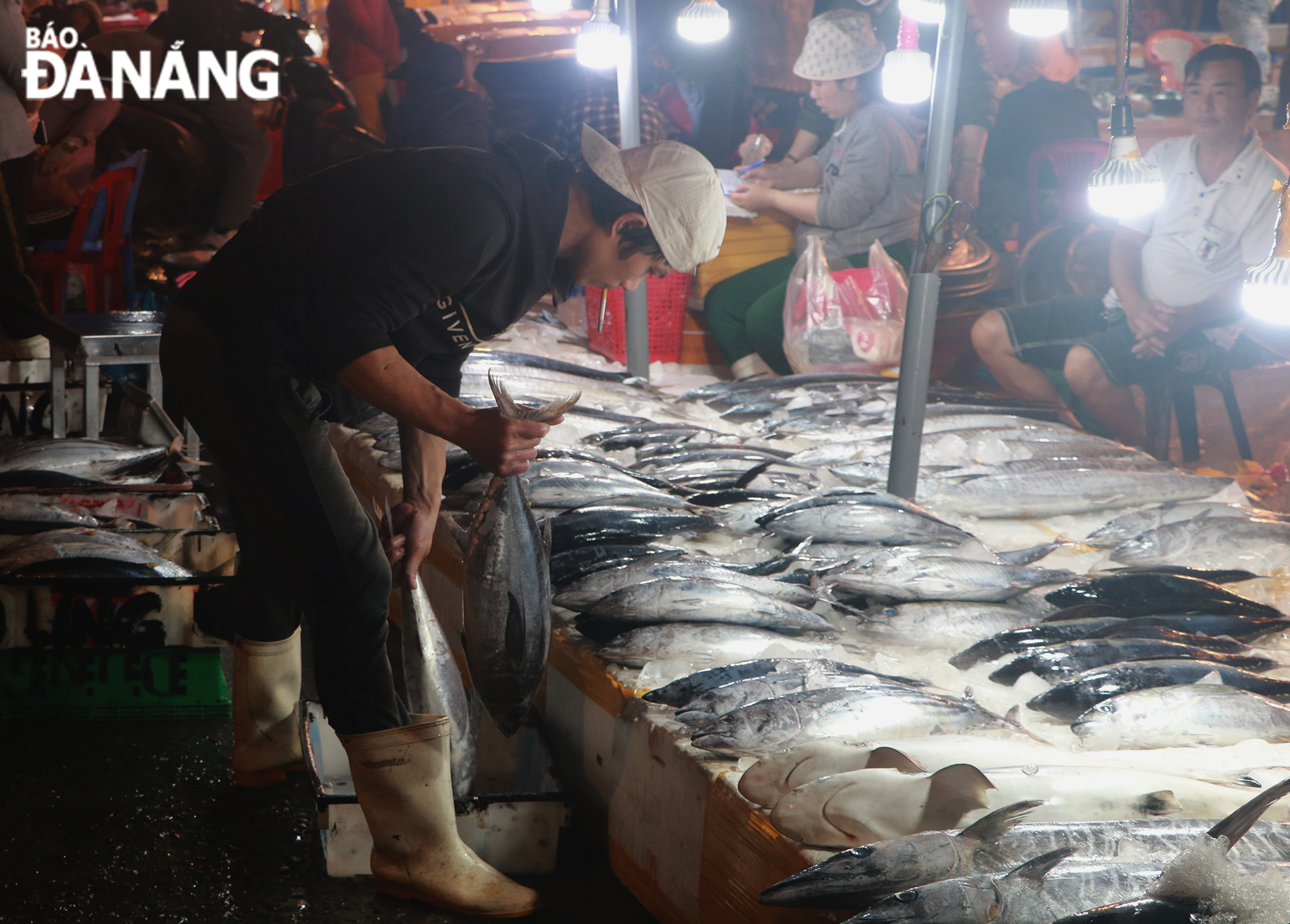 Các loại hải sản được nhiều tiểu thương và người dân chọn mua cho dịp này đa phần là cá thu, cá ngừ, cá hố...