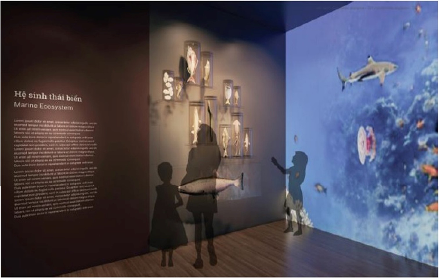 Mô phỏng vùng chiếu hệ sinh thái biển tại Bảo tàng Đà Nẵng mới.