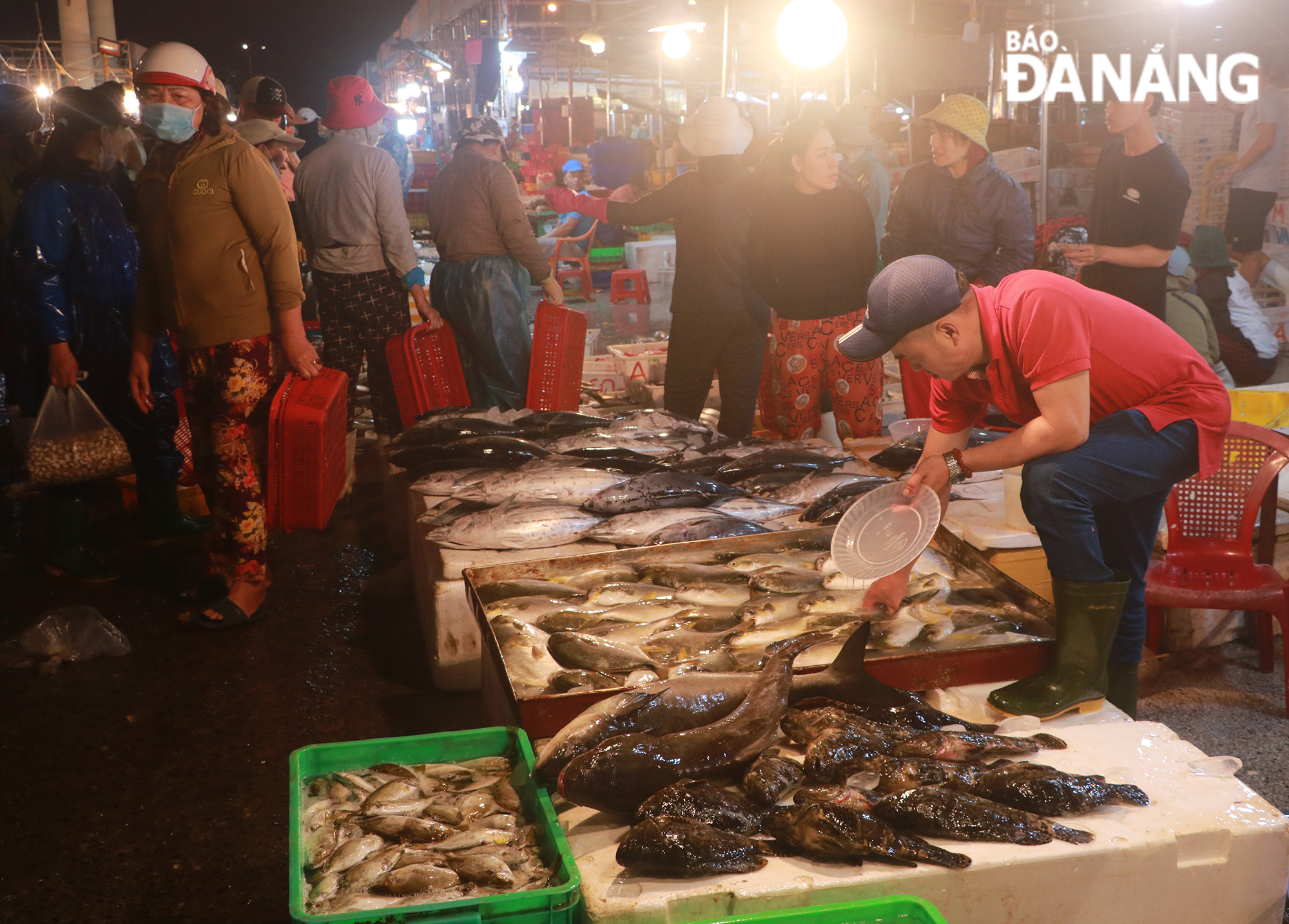 According to the Management Board of the Tho Quang Fishing Port and Wharf, from February 1 - 6, a total of 2,173 fishing vessels and vehicles operated at the Tho Quang Fishing Port and Seafood Wholesale Market. 