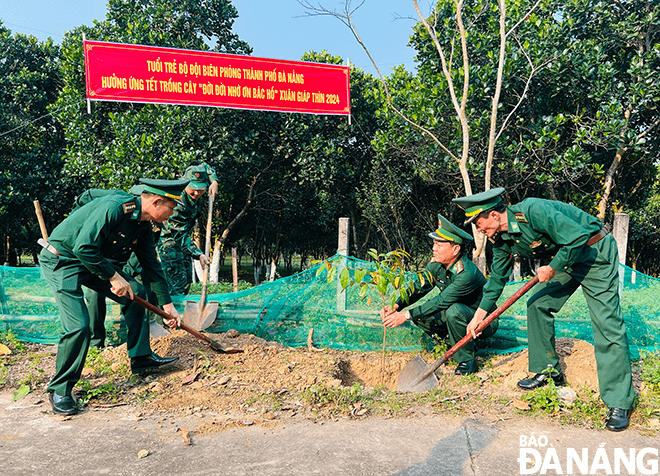 Trồng cây