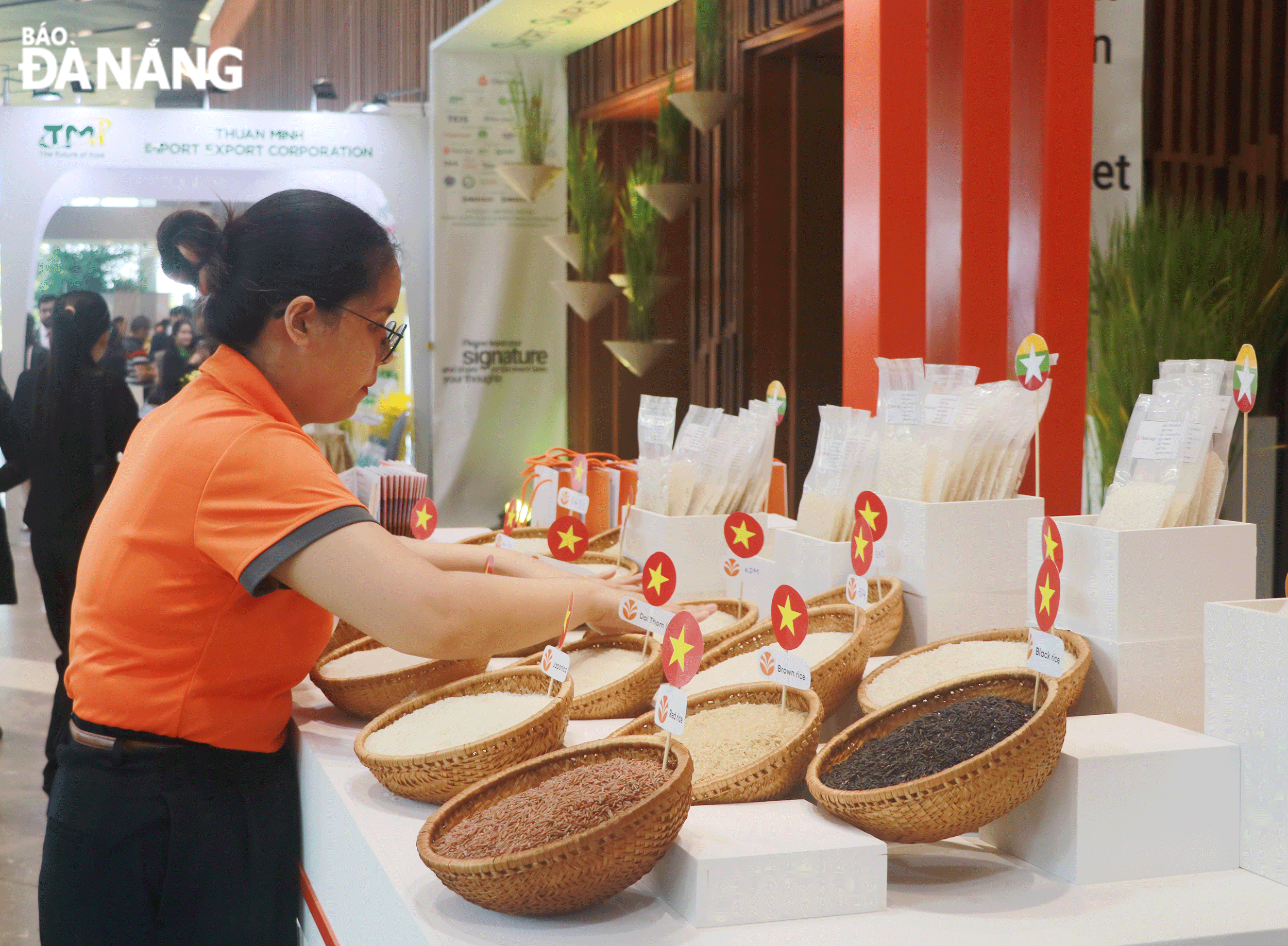 Hội nghị lúa gạo toàn cầu 2024 tổ chức tại Đà Nẵng