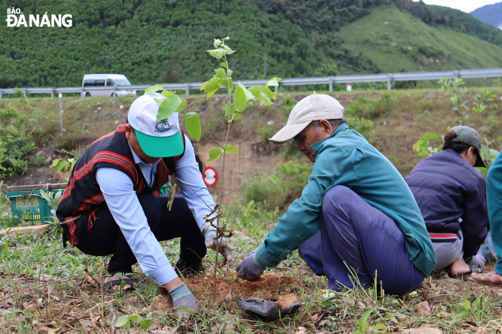 Local people of Hoa Bac Commune participate in planting large trees at the launching event. Photo: TRAN TRUC