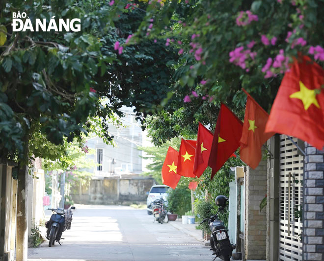 A small alley in Da Nang covered with many trees. Photo: TRAN ANH DUONG