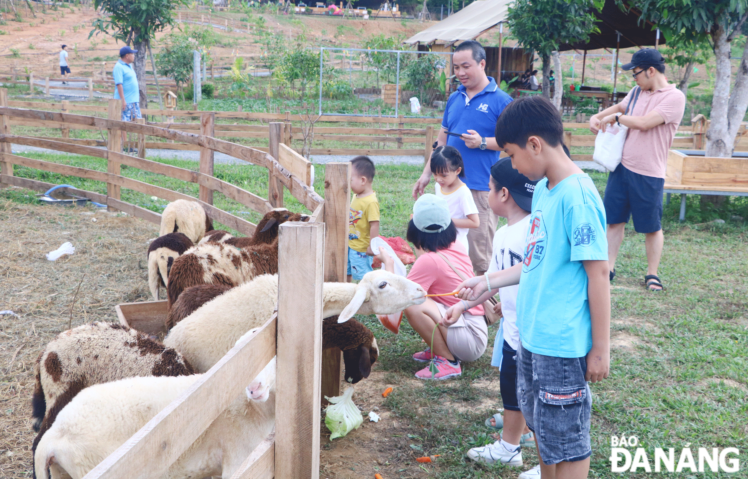 Tourists experiencing the Bana Rita Camping eco-tourism model in Hoa Phu Commune, Hoa Vang District. Photo: VAN HOANG