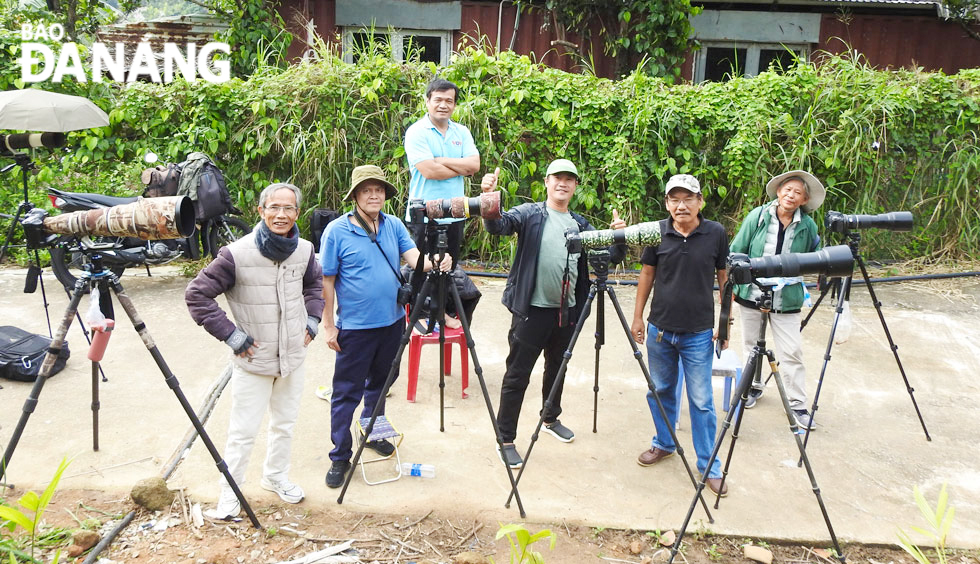 Tourists and nature-loving photographers everywhere come to the Son Tra Peninsula to admire and hunt for the image of birds.