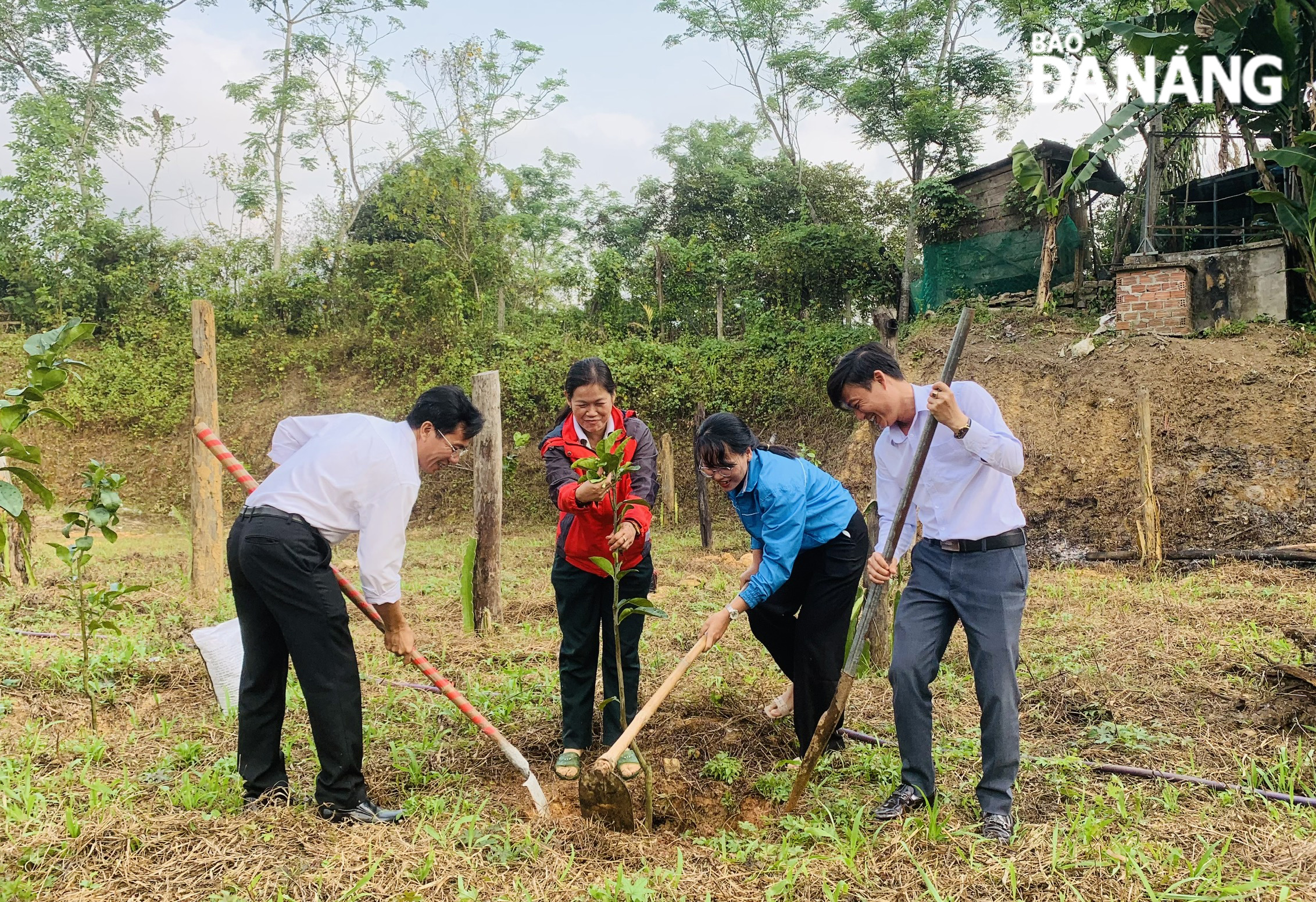 After the launching ceremony, the delegates along with a large number of union members and people planted 70 grapefruit trees, and built flower beds along the model road in Loc My Village.