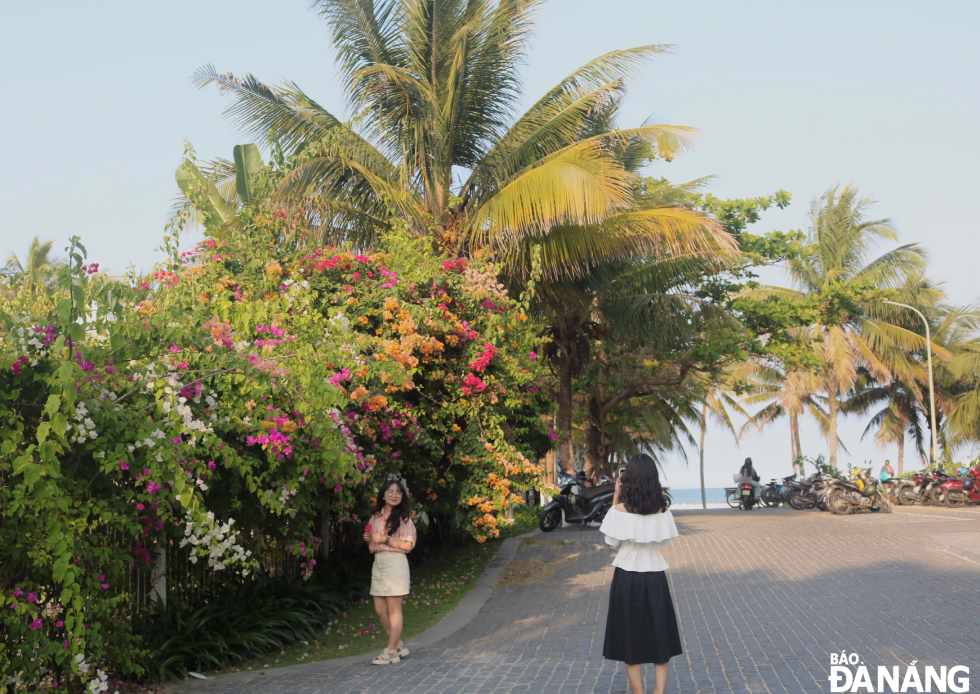 The bougainvillea flower street, located along a coastal footpath allowing public access to beaches at the intersection of Ho Xuan Huong and Vo Nguyen Giap streets, attracts a large number of people and tourists to check-in.